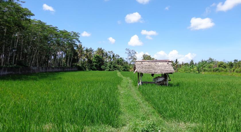 Angel House Ubud Eco Villa Ngoại thất bức ảnh